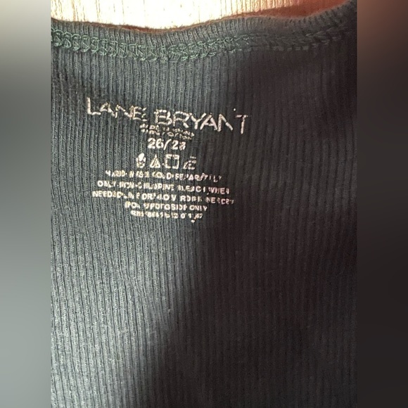 Lane Bryant - Picture 2 of 2